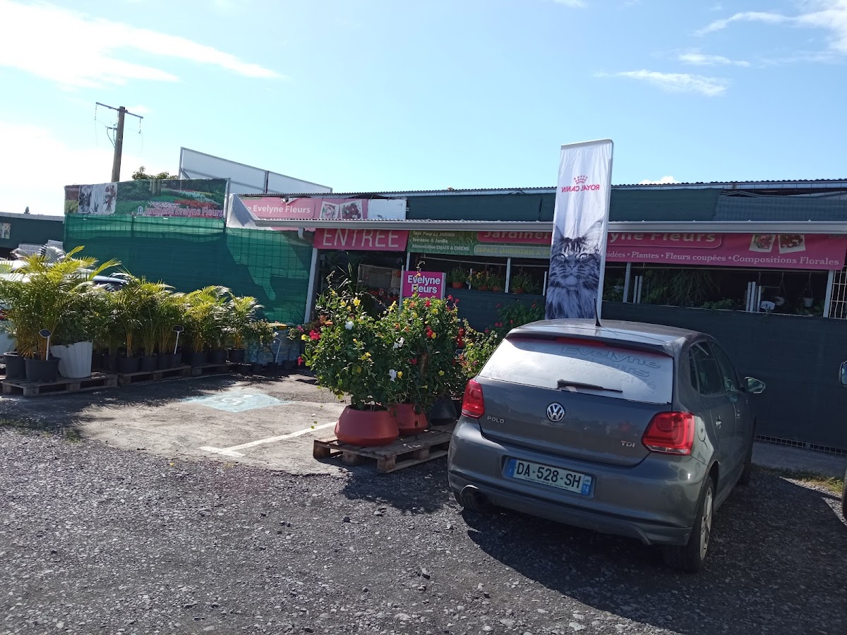 Evelyne Fleurs - 5